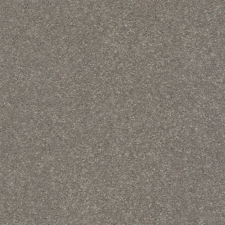 Shaw Floors Solidify II 15' — Tree Bark · 5E265-00700 — flooring selection with LeviArs Design & Remodeling