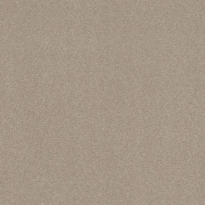 Shaw Floors Solidify III 12' — Dreamy · 5E266-00103 — flooring selection with LeviArs Design & Remodeling
