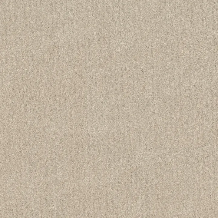 Shaw Floors Solidify II 12' — Bleached · 5E264-00101 — flooring selection with LeviArs Design & Remodeling