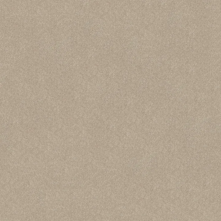 Shaw Floors Solidify II 12' — Dreamy · 5E264-00103 — flooring selection with LeviArs Design & Remodeling