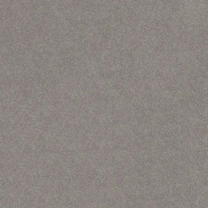 Shaw Floors Solidify II 12' — Dusty Trail · 5E264-00503 — flooring selection with LeviArs Design & Remodeling