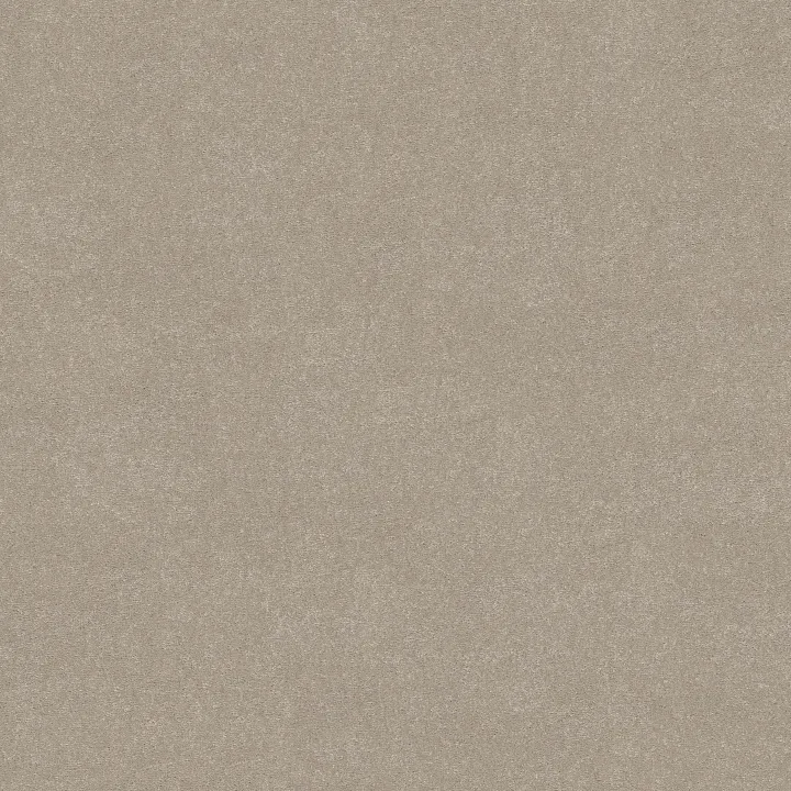 Shaw Floors Solidify II 12' — Greige · 5E264-00106 — flooring selection with LeviArs Design & Remodeling
