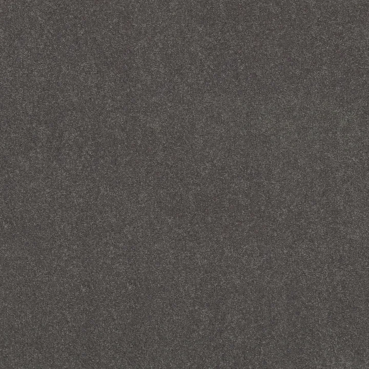 Shaw Floors Solidify II 12' — Iron · 5E264-00501 — flooring selection with LeviArs Design & Remodeling