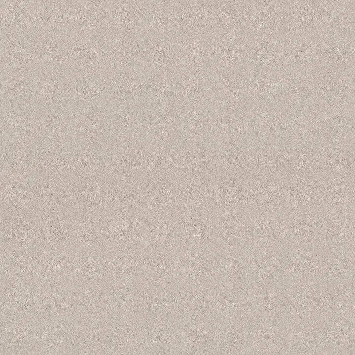Shaw Floors Solidify II 12' — Minimalist · 5E264-00100 — flooring selection with LeviArs Design & Remodeling