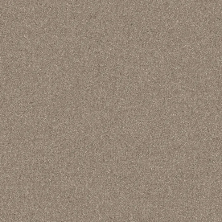 Shaw Floors Solidify II 12' — Natural Contour · 5E264-00104 — flooring selection with LeviArs Design & Remodeling