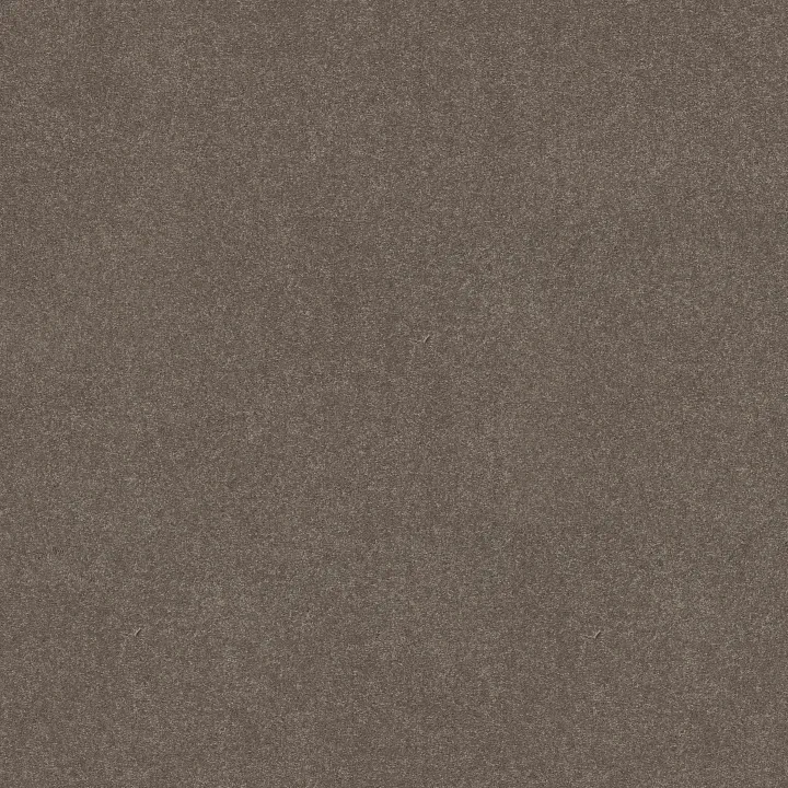 Shaw Floors Solidify II 12' — Pewter · 5E264-00701 — flooring selection with LeviArs Design & Remodeling