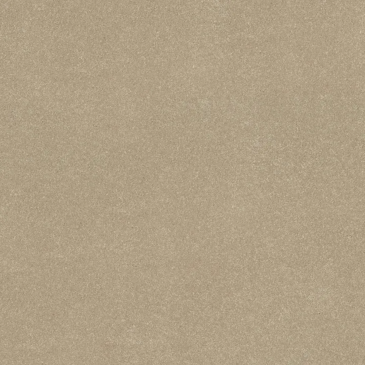 Shaw Floors Solidify II 12' — Raw Lumber · 5E264-00102 — flooring selection with LeviArs Design & Remodeling