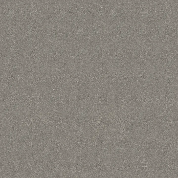 Shaw Floors Solidify II 12' — Taupe Stone · 5E264-00502 — flooring selection with LeviArs Design & Remodeling