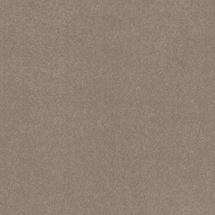 Shaw Floors Solidify II 12' — Tree Bark · 5E264-00700 — flooring selection with LeviArs Design & Remodeling