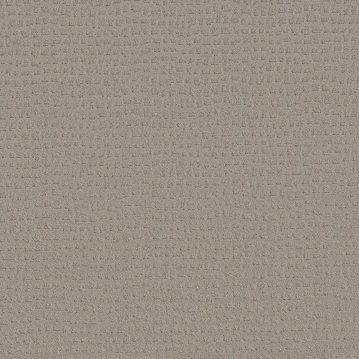 Shaw Floors Solstice — Ash Mist · ZZ264-00511 — flooring selection with LeviArs Design & Remodeling
