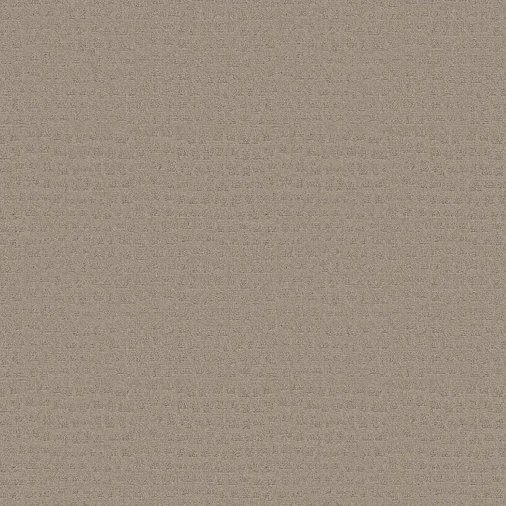 Shaw Floors Solstice — Barista · ZZ264-00752 — flooring selection with LeviArs Design & Remodeling