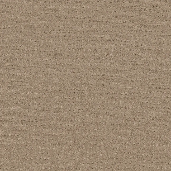 Shaw Floors Solstice — Beach Grass · ZZ264-00117 — flooring selection with LeviArs Design & Remodeling
