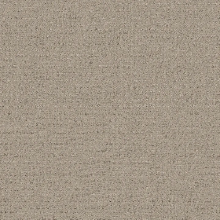Shaw Floors Solstice — Bit Of Gray · ZZ264-00552 — flooring selection with LeviArs Design & Remodeling