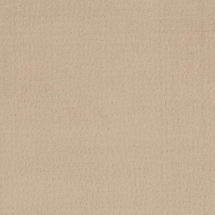 Shaw Floors Solstice — Cornflower · ZZ264-00212 — flooring selection with LeviArs Design & Remodeling