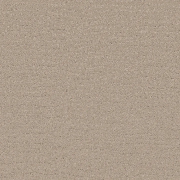 Shaw Floors Solstice — Dune · ZZ264-00152 — flooring selection with LeviArs Design & Remodeling