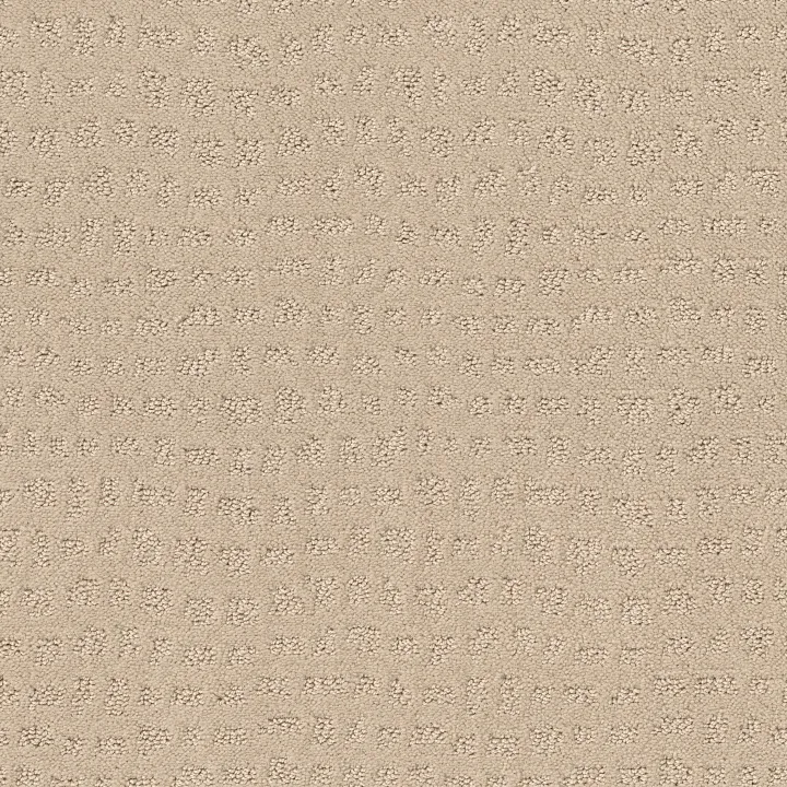 Shaw Floors Solstice — Ivory · ZZ264-00120 — flooring selection with LeviArs Design & Remodeling