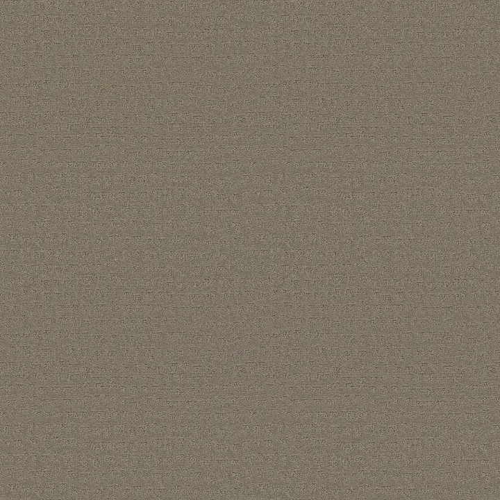 Shaw Floors Solstice — Koala · ZZ264-00553 — flooring selection with LeviArs Design & Remodeling
