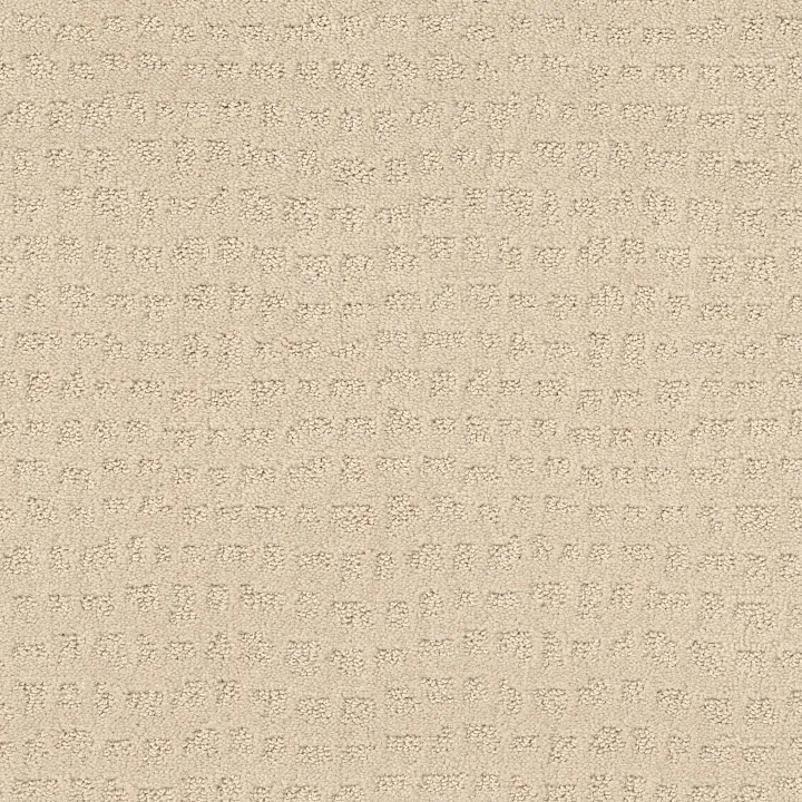 Shaw Floors Solstice — Linen · ZZ264-00121 — flooring selection with LeviArs Design & Remodeling