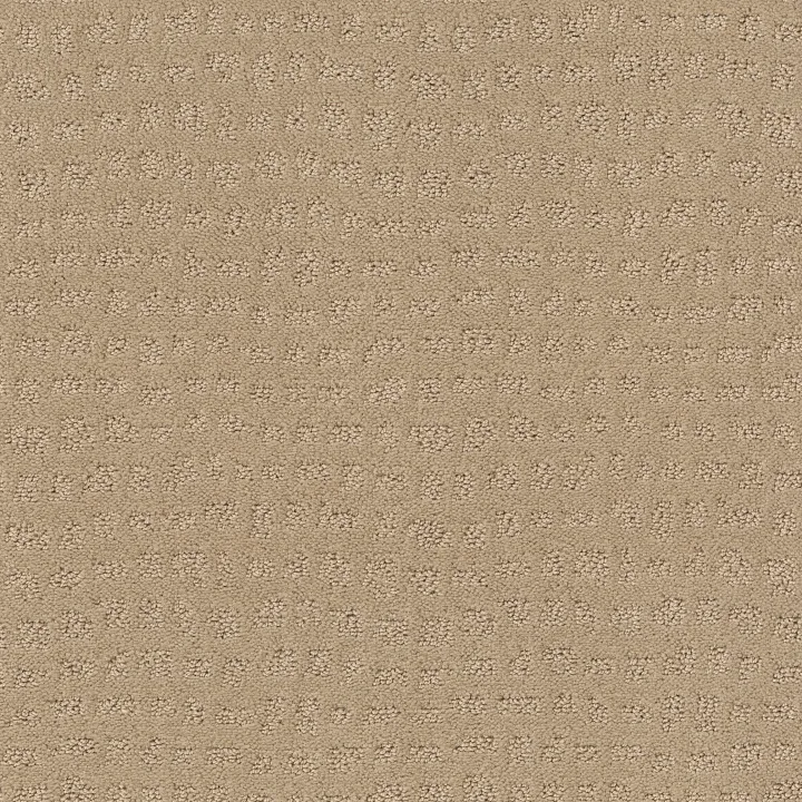 Shaw Floors Solstice — Magic · ZZ264-00214 — flooring selection with LeviArs Design & Remodeling