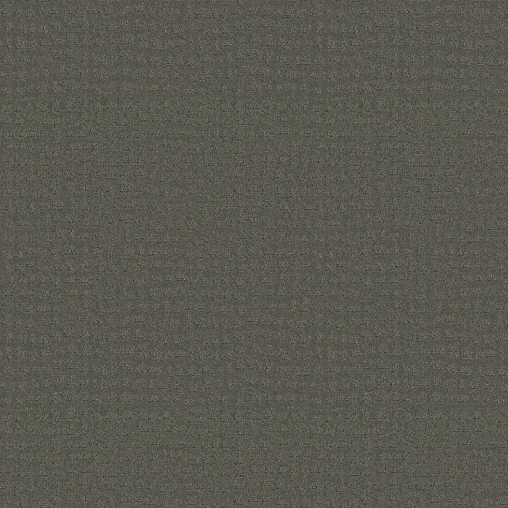 Shaw Floors Solstice — Pewter · ZZ264-00558 — flooring selection with LeviArs Design & Remodeling