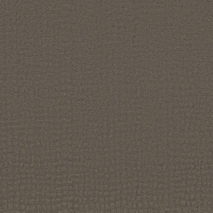 Shaw Floors Solstice — Potting Soil · ZZ264-00573 — flooring selection with LeviArs Design & Remodeling