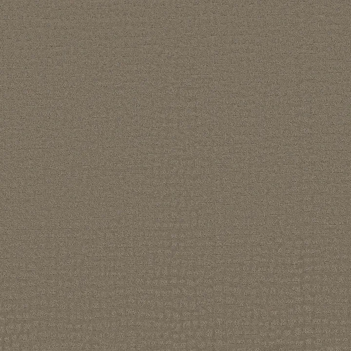 Shaw Floors Solstice — Riverbank · ZZ264-00575 — flooring selection with LeviArs Design & Remodeling