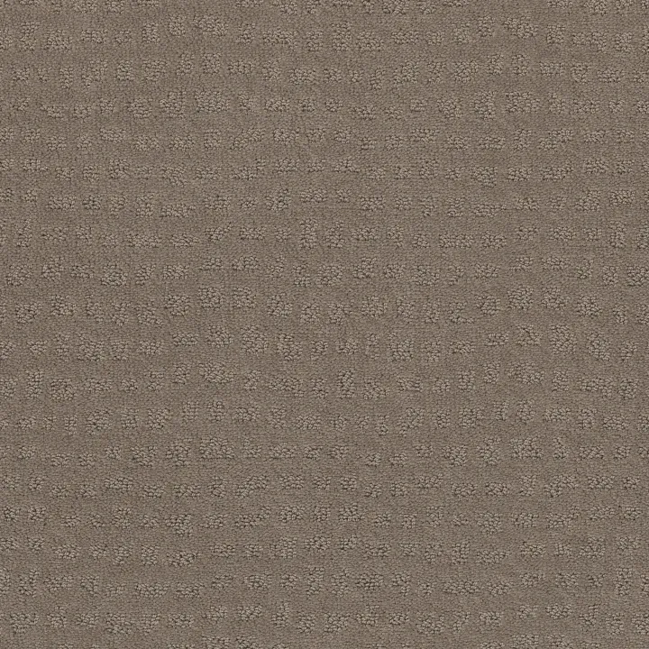 Shaw Floors Solstice — Shitake · ZZ264-00754 — flooring selection with LeviArs Design & Remodeling