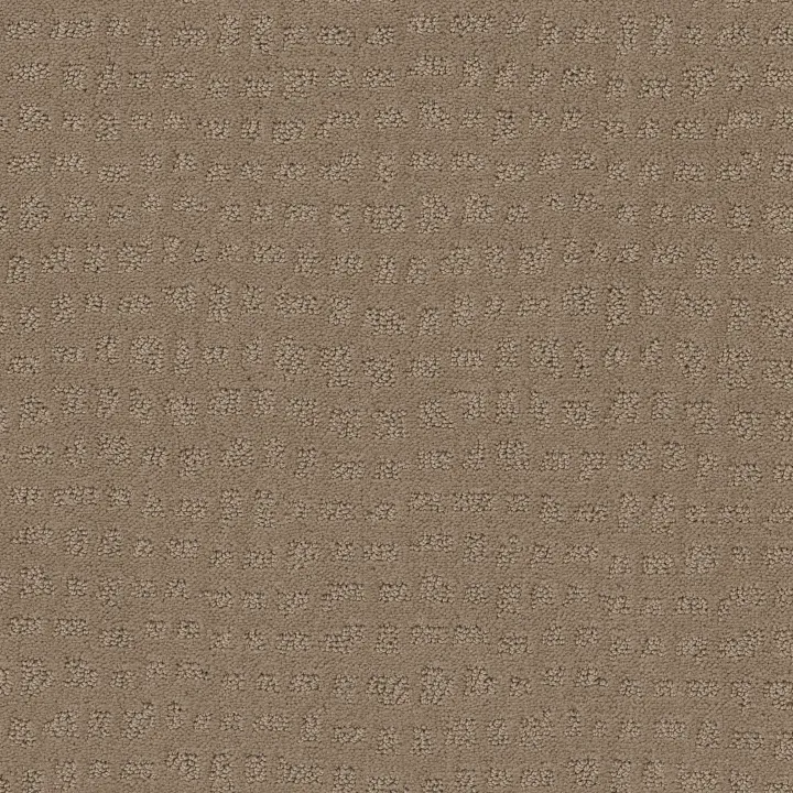 Shaw Floors Solstice — Sierra Hills · ZZ264-00174 — flooring selection with LeviArs Design & Remodeling