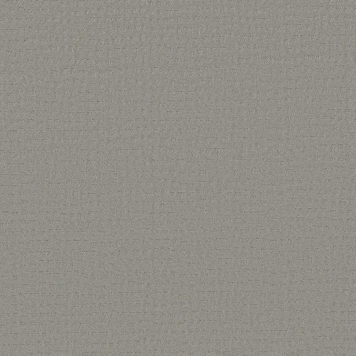 Shaw Floors Solstice — Silver Fox · ZZ264-00541 — flooring selection with LeviArs Design & Remodeling