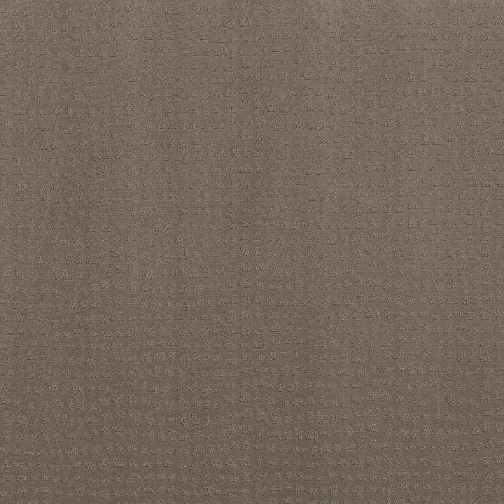 Shaw Floors Solstice — Smokestack · ZZ264-00756 — flooring selection with LeviArs Design & Remodeling