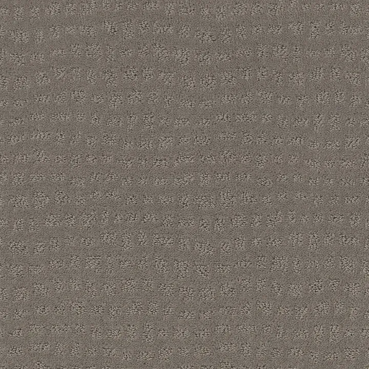 Shaw Floors Solstice — Still Gray · ZZ264-00515 — flooring selection with LeviArs Design & Remodeling