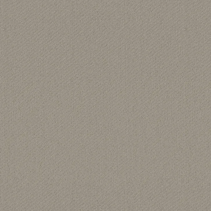 Shaw Floors Square One — Cold Water · EA500-00510 — flooring selection with LeviArs Design & Remodeling