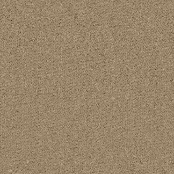 Shaw Floors Square One — Fieldstone · EA500-00105 — flooring selection with LeviArs Design & Remodeling