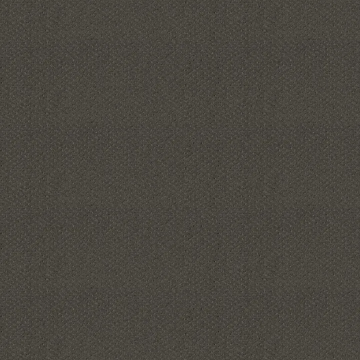 Shaw Floors Square One — Graphite · EA500-00712 — flooring selection with LeviArs Design & Remodeling