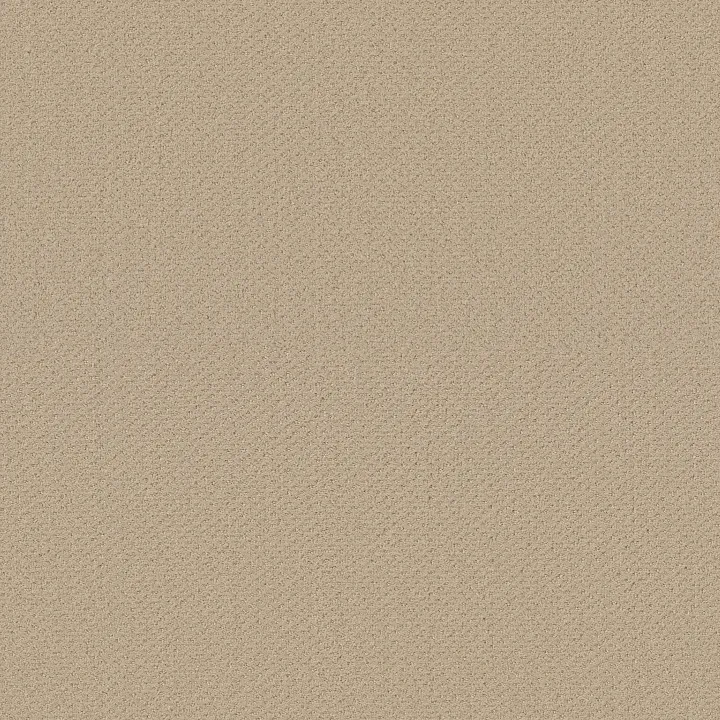 Shaw Floors Square One — Linen · EA500-00101 — flooring selection with LeviArs Design & Remodeling