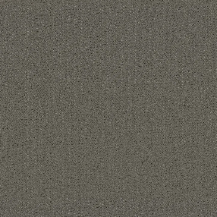 Shaw Floors Square One — Pewter · EA500-00513 — flooring selection with LeviArs Design & Remodeling