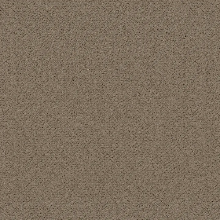 Shaw Floors Square One — Prairie · EA500-00710 — flooring selection with LeviArs Design & Remodeling