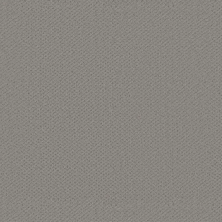 Shaw Floors Austin Park — Sea Salt · 5E819-00512 — flooring selection with LeviArs Design & Remodeling