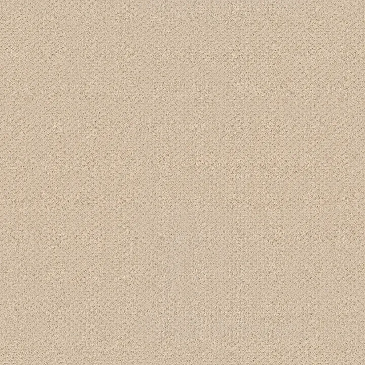Shaw Floors Square One — Winter White · EA500-00100 — flooring selection with LeviArs Design & Remodeling