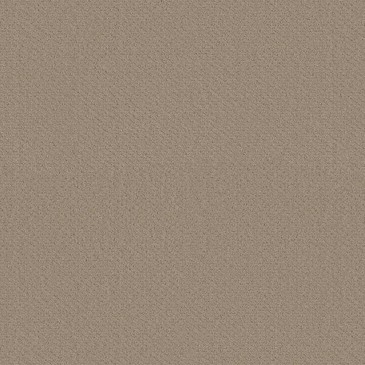 Shaw Floors Square One — Wool Skein · EA500-00111 — flooring selection with LeviArs Design & Remodeling