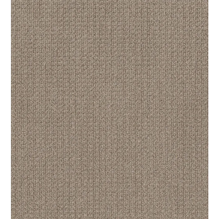 Shaw Floors Stay Fit — French Linen · 5E320-00101 — flooring selection with LeviArs Design & Remodeling
