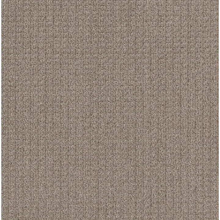 Shaw Floors Stay Fit — Mesa · 5E320-00102 — flooring selection with LeviArs Design & Remodeling