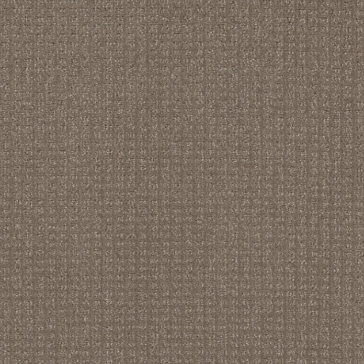 Shaw Floors Stay Fit — Papoose · 5E320-00700 — flooring selection with LeviArs Design & Remodeling