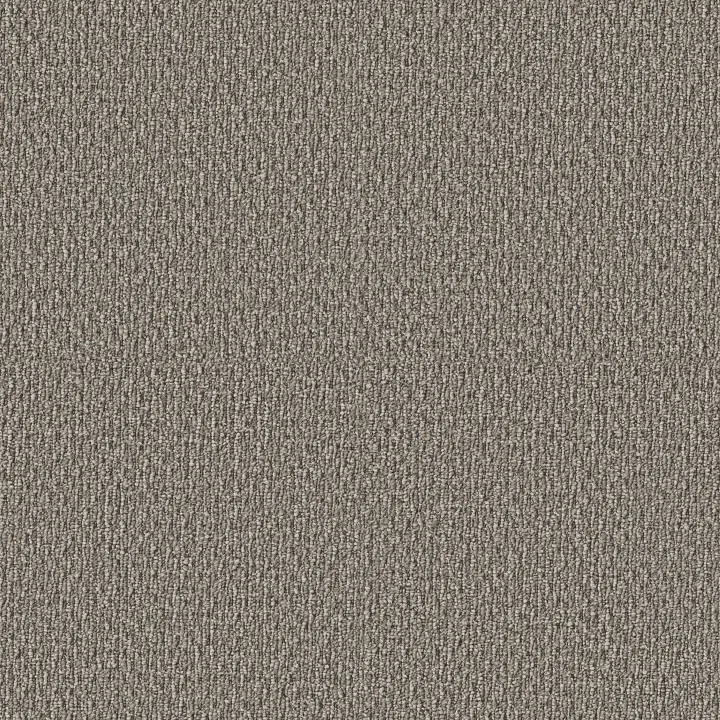 Shaw Floors Stonebrook — Creek Bed · 5E682-00704 — flooring selection with LeviArs Design & Remodeling