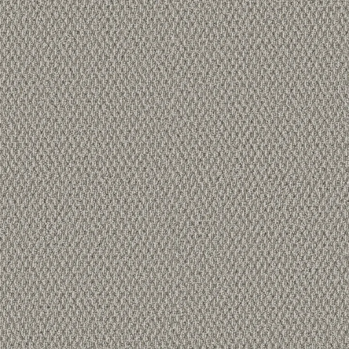 Shaw Floors Stonebrook — Wool Mix · 5E682-00106 — flooring selection with LeviArs Design & Remodeling