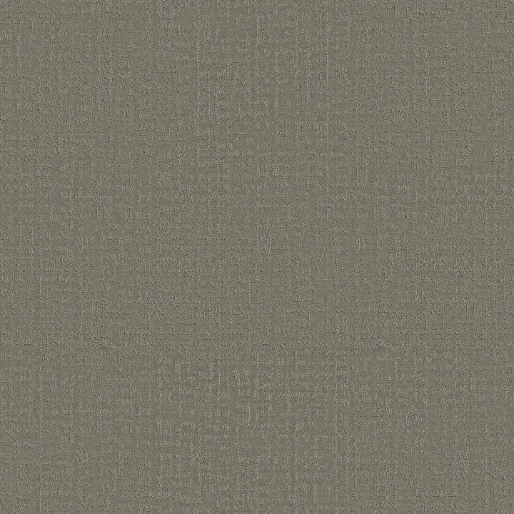 Shaw Floors Studio Plaza — Fallen Acorn · 5E870-00501 — flooring selection with LeviArs Design & Remodeling
