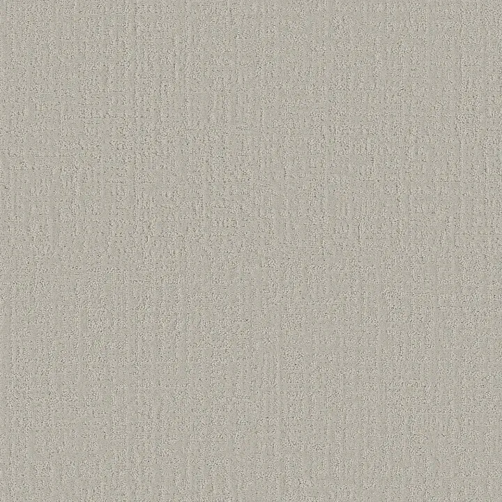 Shaw Floors Studio Plaza — Forest Fog · 5E870-00107 — flooring selection with LeviArs Design & Remodeling