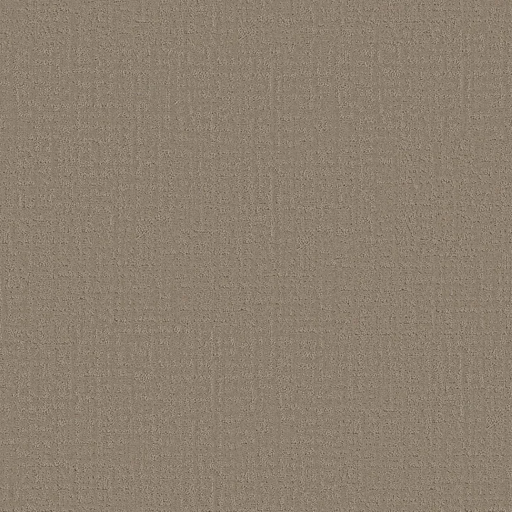 Shaw Floors Studio Plaza — Kindling · 5E870-00113 — flooring selection with LeviArs Design & Remodeling