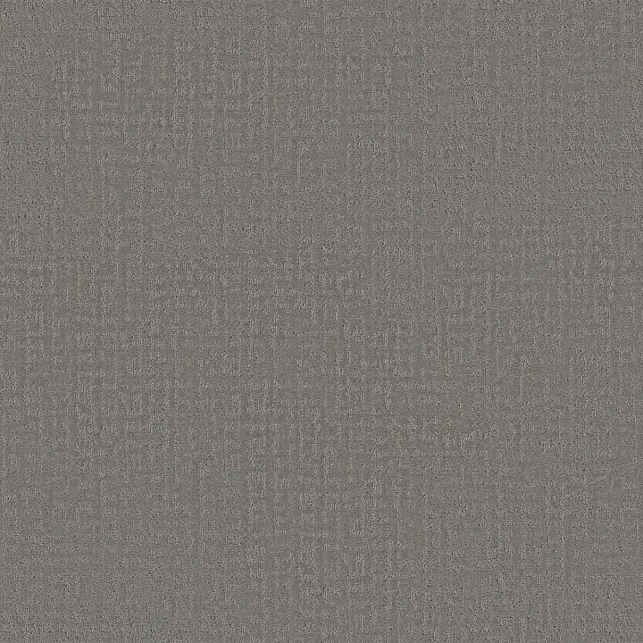 Shaw Floors Studio Plaza — Lunar Haze · 5E870-00509 — flooring selection with LeviArs Design & Remodeling