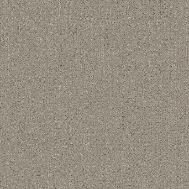 Shaw Floors Studio Plaza — Sandstone · 5E870-00115 — flooring selection with LeviArs Design & Remodeling